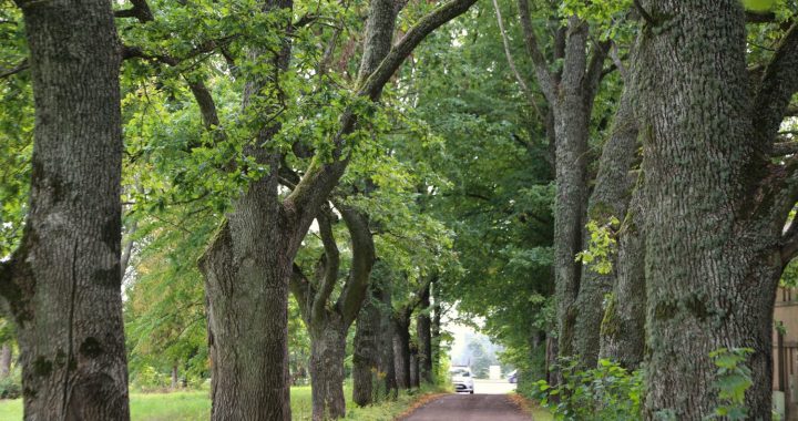 Kļūsti par aleju detektīvu Kurzemē un Ziemeļlietuvā!