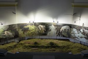 Novada jaunā māksliniece saņem starptautisku balvu