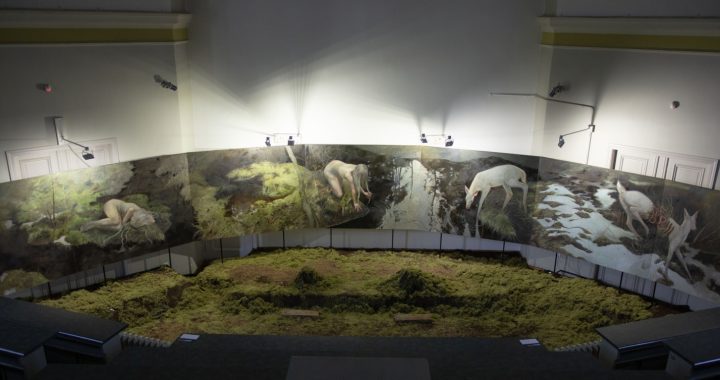 Novada jaunā māksliniece saņem starptautisku balvu