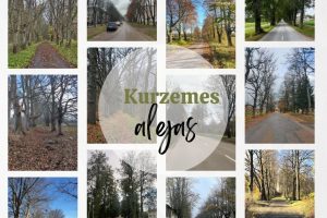 Noslēgusies kampaņas «Kļūsti par aleju detektīvu!» rudens sesija. Tukumnieki – vieni no aktīvākajiem