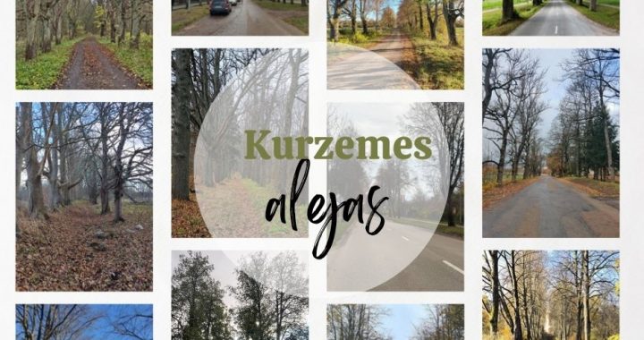 Noslēgusies kampaņas «Kļūsti par aleju detektīvu!» rudens sesija. Tukumnieki – vieni no aktīvākajiem