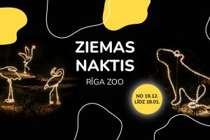 Ziemas naktis atgriežas Rīga ZOO!