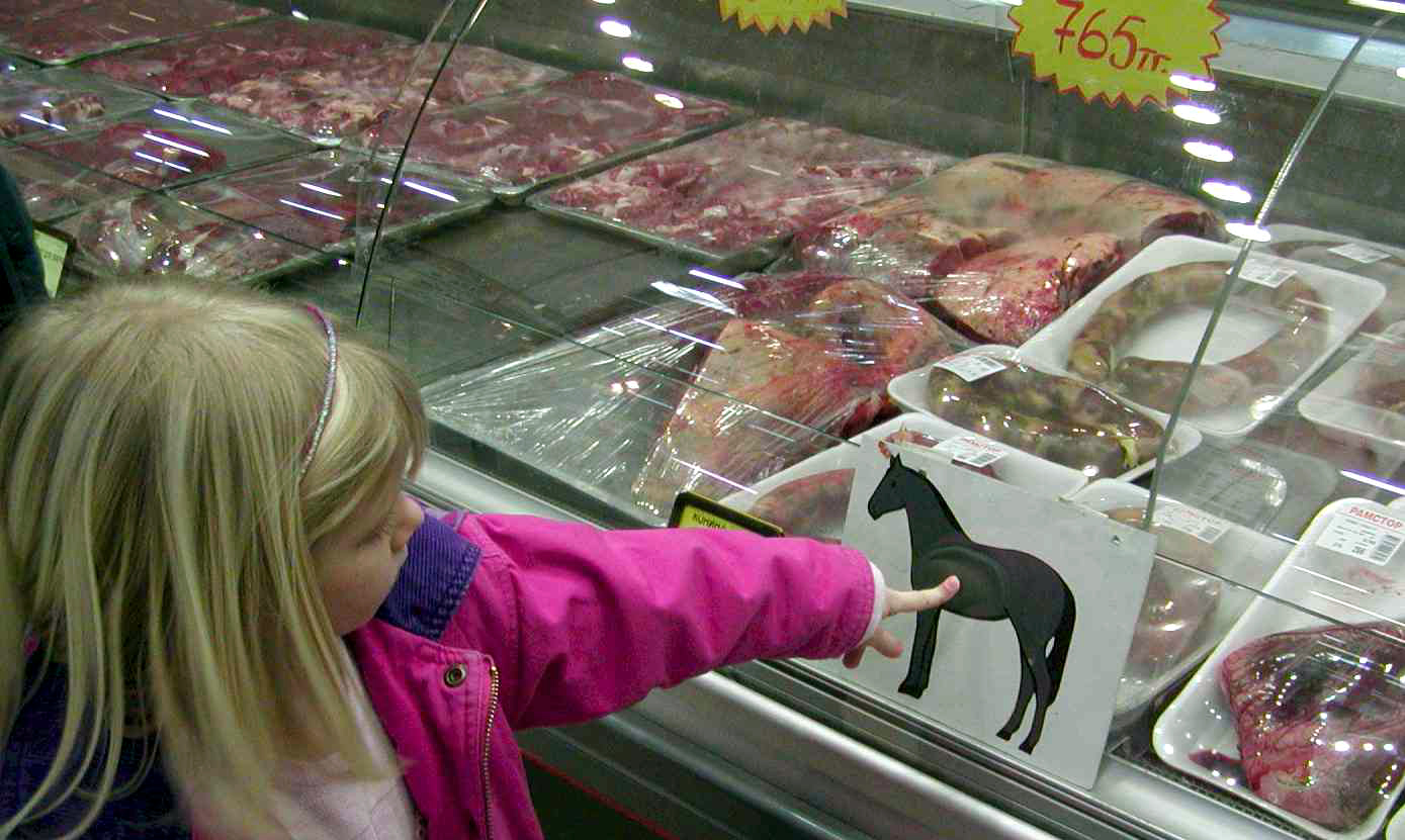 Četros Lielbritānijā izmeklētajos produktu paraugos konstatēta zirgu gaļa