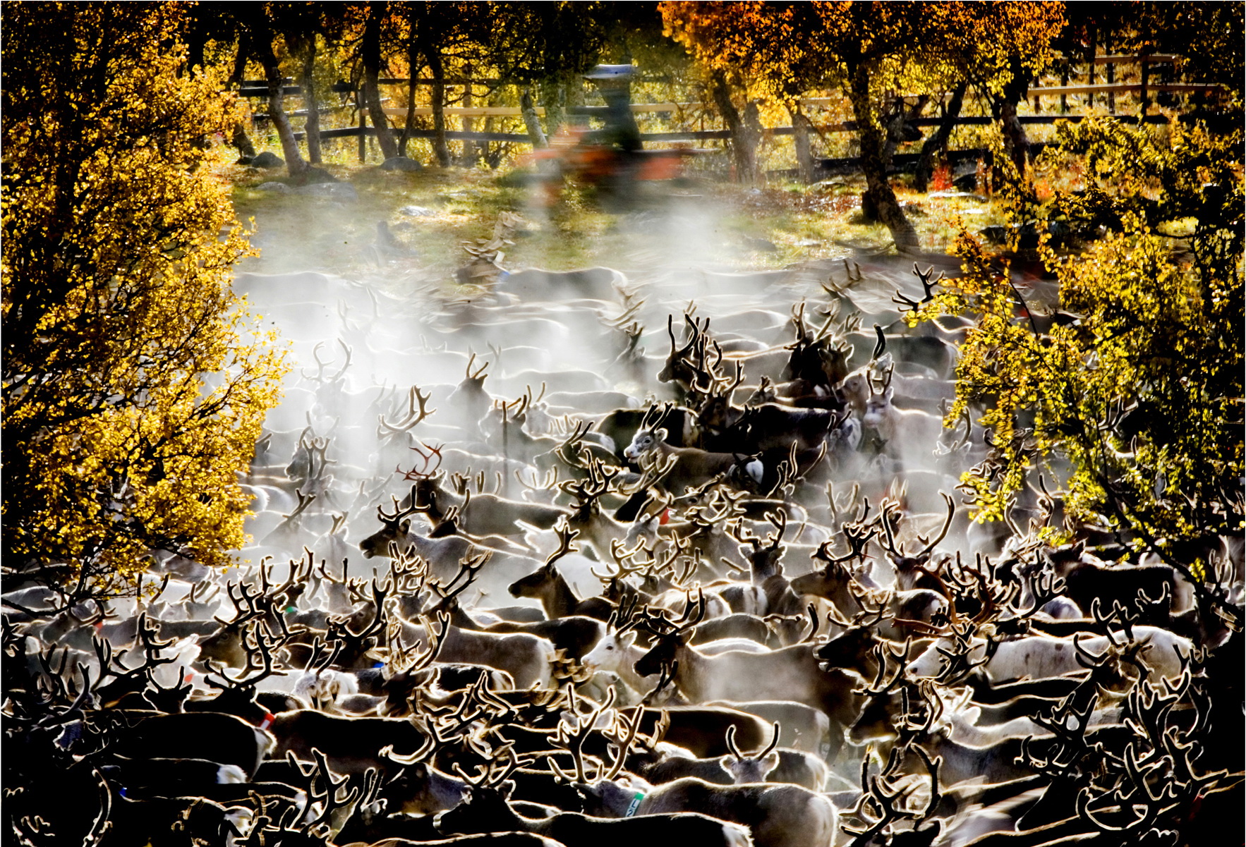 Izstāde «Sāmu ģimenes 8 gadalaiki» Brīvdabas muzejā