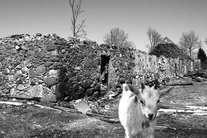 Lūgums palīdzēt ugunsnelaimē cietušai saimniecībai