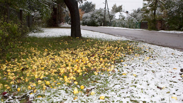 Oktobris apdrošināšanā izcēlies ar pirmo sniegu un salu gan autovadītājiem, gan gājējiem
