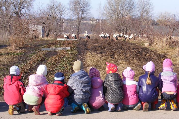 Pūres centrā vienuviet – 33 stārķi /FOTO/