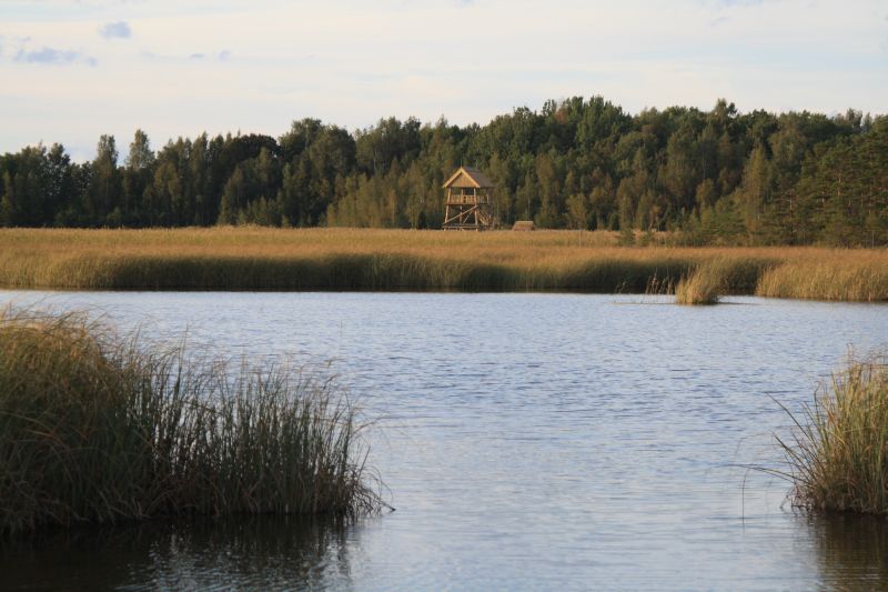 Veikta Kaņiera ezera zivju faunas izpēte