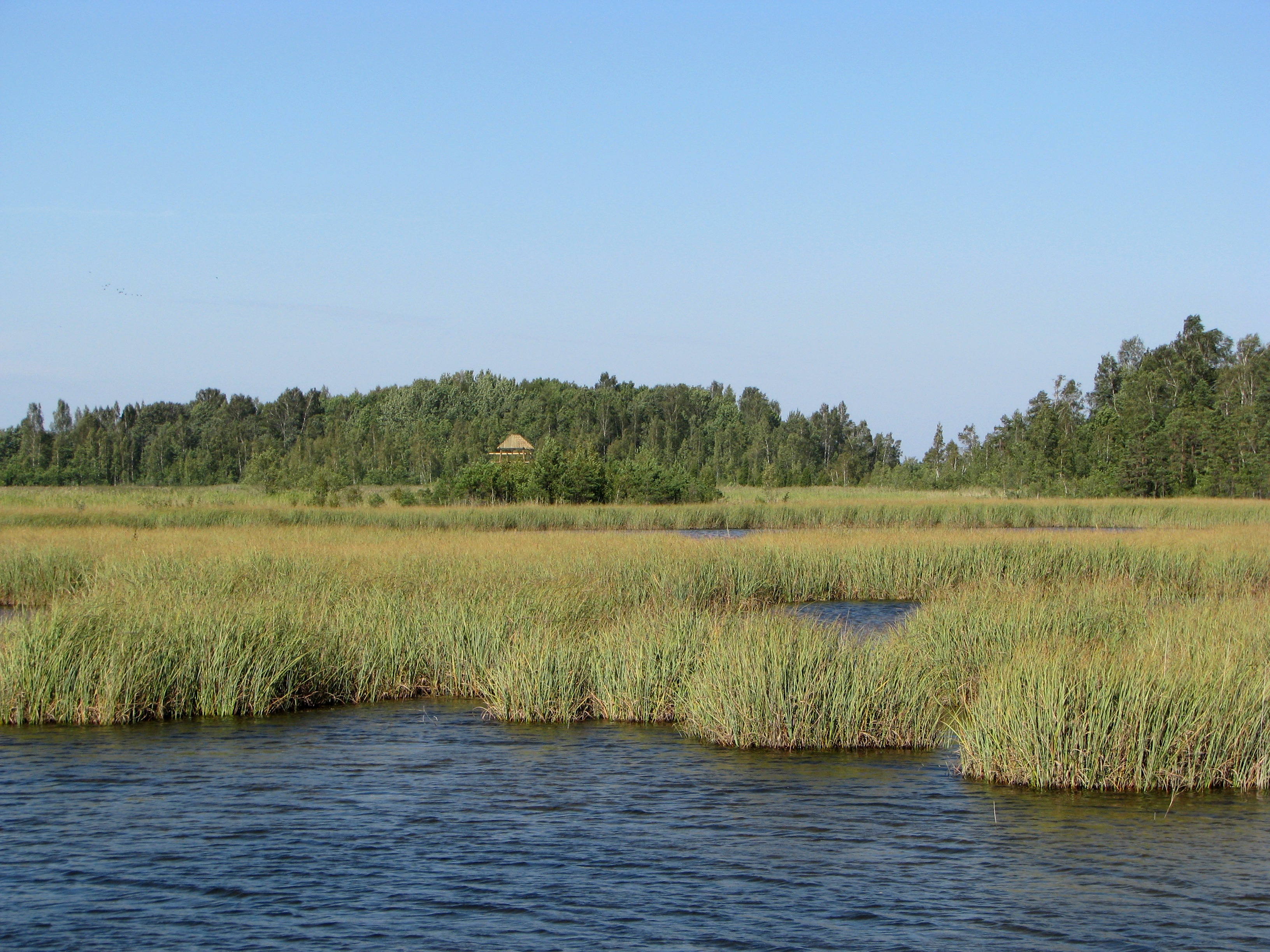 Veikti Kaņiera ezera ūdens ekoloģiskās kvalitātes pētījumi